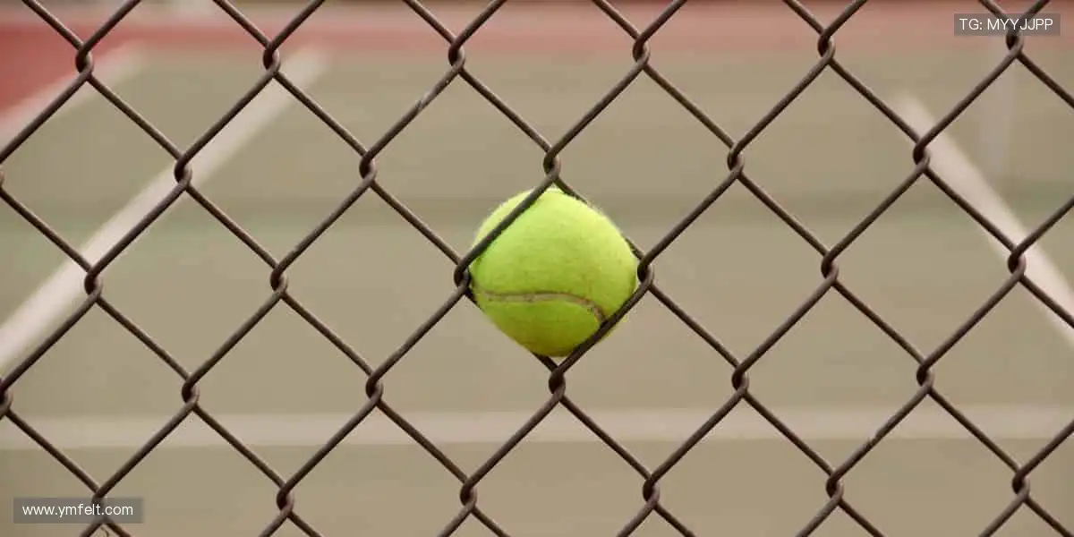 ⚡巅峰对决，心跳与欢呼同频！🏆