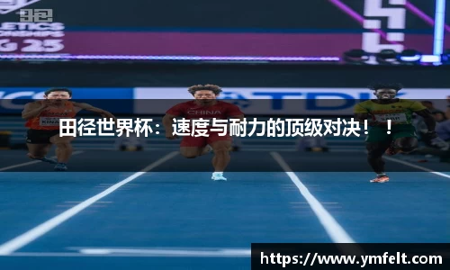 3377体育官网