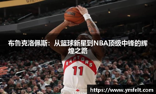 布鲁克洛佩斯：从篮球新星到NBA顶级中锋的辉煌之路